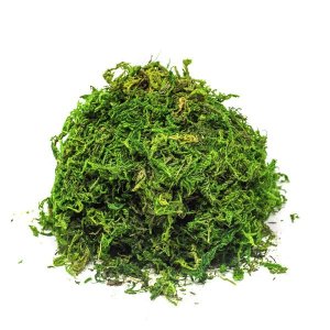 Musgo Artificial Verde para Arranjos e Jardins 300G