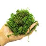 Musgo Artificial Verde para Arranjos e Jardins 300G - 4
