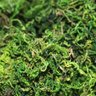 Musgo Artificial Verde para Arranjos e Jardins 300G - 3