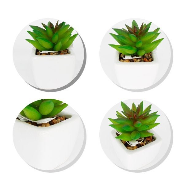 Planta Artificial Com Vaso Em Cerâmica Suculenta Decorativa - 4