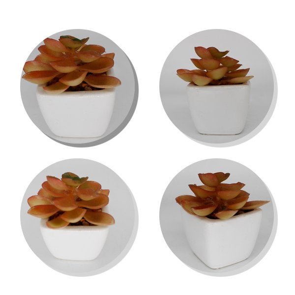 Suculenta Plantas Artificial Decoração Lar Vaso de Cerâmica - 4