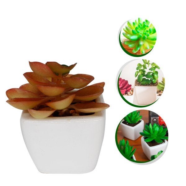 Suculenta Plantas Artificial Decoração Lar Vaso de Cerâmica - 3