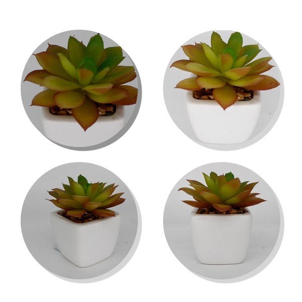 Suculenta Artificial Plantas Flor Mini Vasinhos Decorativos - 4