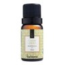Essencias Aromatizantes Via Aroma Kit Top 5 Mais Pedidas - 6