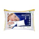 Ver imagem 1 de Travesseiro Bestpluma 50 x 70 - Theva