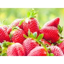 Ver imagem 3 de Papel De Parede Frutas Morangos Vermelhos 3D Al93