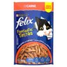 Combo 60un Ração Felix Fantastic Sachê Tiritas Carne 85g - 3