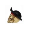 Estatua Caveira Crânio Decorativa em Resina Pirata - 5