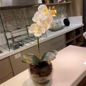Arranjo de Orquídea Branca Artificial no Vaso Transparente Flores Permanentes