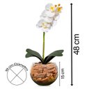 Ver imagem 4 de Orquídea Branca Artificial Arranjo no Vaso Transparente Flores Permanentes