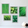 Kit Com 5 Quadros Decorativos - Folhas Natureza Verde Limão - 086kq01b - 1