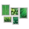 Kit Com 5 Quadros Decorativos - Folhas Natureza Verde Limão - 086kq01b - 2