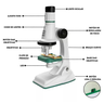 Brinquedo Microscópio Polilab Stem Lentes até 1200x - Polibrinq - 2