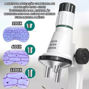 Ver imagem 4 de Brinquedo Microscópio Polilab Stem Lentes até 1200x - Polibrinq