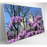 QUADRO FLORES CENTRAL PARK - 60x40 - Adesivo fotográfico - 4