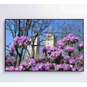 Ver imagem 7 de Quadro Flores Central Park - 60x40 - Adesivo Fotográfico
