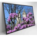 Ver imagem 5 de Quadro Flores Central Park - 60x40 - Adesivo Fotográfico