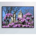 Ver imagem 6 de Quadro Flores Central Park - 60x40 - Adesivo Fotográfico