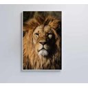Ver imagem 7 de Quadro Leão - 40x60 - Vidro Impresso