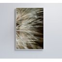 Ver imagem 1 de Quadro Dente de Leão Detalhe - 60x90 - Adesivo Fotográfico