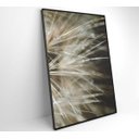 Ver mais imagens de Quadro Dente de Leão Detalhe - 60x90 - Adesivo Fotográfico