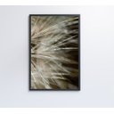 Ver imagem 3 de Quadro Dente de Leão Detalhe - 60x90 - Adesivo Fotográfico