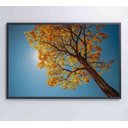 Ver imagem 7 de Quadro Ipê Amarelo - 60x40 - Tecido Canvas