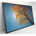 Ver imagem 5 de Quadro Ipê Amarelo - 60x40 - Tecido Canvas