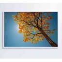 Ver imagem 1 de Quadro Ipê Amarelo - 60x40 - Tecido Canvas