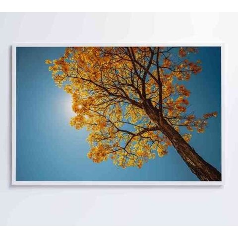 Quadro Ipê Amarelo - 60x40 - Tecido Canvas