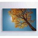 Ver imagem 4 de Quadro Ipê Amarelo - 60x40 - Tecido Canvas