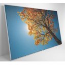 Ver imagem 3 de Quadro Ipê Amarelo - 90x60 - Vidro Impresso