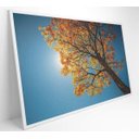 Ver imagem 2 de Quadro Ipê Amarelo - 90x60 - Vidro Impresso