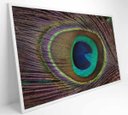 Ver imagem 2 de Quadro Penas de Pavão - 90x60 - Vidro Impresso