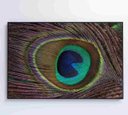 Ver mais imagens de Quadro Penas de Pavão - 120x80 - Tecido Canvas