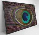 Ver imagem 5 de Quadro Penas de Pavão - 120x80 - Tecido Canvas