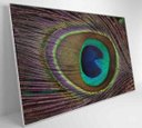 Ver imagem 3 de Quadro Penas de Pavão - 120x80 - Tecido Canvas