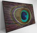 Ver imagem 6 de Quadro Penas de Pavão - 120x80 - Adesivo Fotográfico