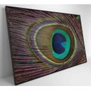 Ver imagem 6 de Quadro Penas de Pavão - 120x80 - Vidro Impresso