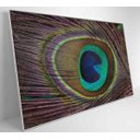 Ver imagem 3 de Quadro Penas de Pavão - 120x80 - Vidro Impresso