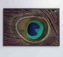 Ver imagem 7 de Quadro Penas de Pavão - 120x80 - Vidro Impresso