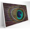 Ver imagem 2 de Quadro Penas de Pavão - 120x80 - Vidro Impresso