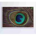 Ver imagem 1 de Quadro Penas de Pavão - 120x80 - Vidro Impresso
