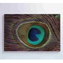 Ver imagem 4 de Quadro Penas de Pavão - 120x80 - Vidro Impresso