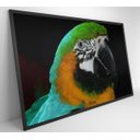 Ver imagem 5 de Quadro Papagaio Verde - 120x80 - Tecido Canvas