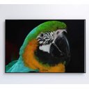 Ver mais imagens de Quadro Papagaio Verde - 120x80 - Tecido Canvas