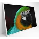 Ver imagem 2 de Quadro Papagaio Verde - 120x80 - Tecido Canvas