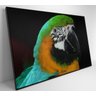 Quadro Papagaio Verde - 120x80 - Adesivo Fotográfico - 6