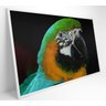 Quadro Papagaio Verde - 120x80 - Adesivo Fotográfico - 2