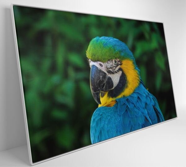 QUADRO ARARA - 120x80 - Tecido Canvas - 3